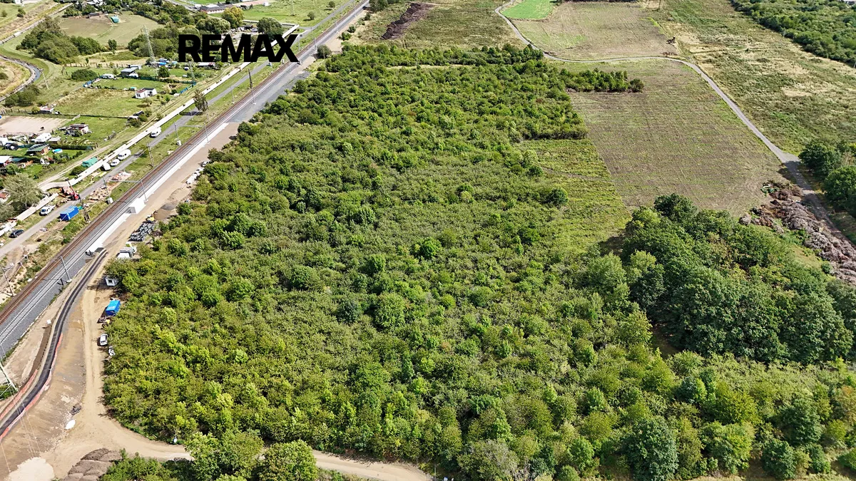 Prodej lesa 14938 m²